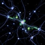 Machine Learning Achieves Coherence and Entanglement Estimation with Minimal Resources for Unknown States