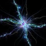 Cognitive Diagnosis Achieves Robustness Against Noise with One-Shot Neural Architecture Search