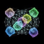 Symmetry-adapted State Preparation Advances Quantum Chemistry with Low Ancilla Qubit Requirements