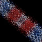 Superconducting Qubit Performance Enabled by Controlling Oxygen Segregation with 0.3 Precision