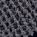 Egowm Achieves 25-Dof Humanoid Prediction with Action-Conditioned World Models