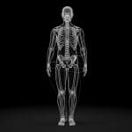 Moro Achieves Robust Human Motion Recovery under Occlusions from Monocular Videos