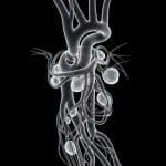 Lightweight Framework Achieves Robust Coronary Angiography Analysis with Neural Representations