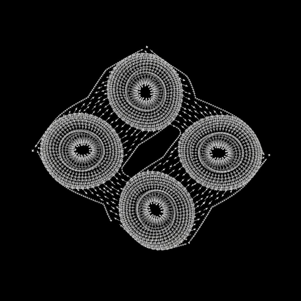 Antiferromagnetic Skyrmions Advance Data Storage with Spin-1/2 Heisenberg Model