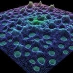 Critical Organisation of Deep Neural Networks Achieves Infinite States Beyond One Parameter