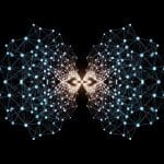 Correlations Linked to Entanglement Via Universal Property