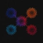 Fixed Aggregation Features Rival GNNs on 12 Benchmarks, Achieving State-Of-The-Art Results