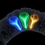 New Model Challenges Silicon Theories with Exact Valley Splitting