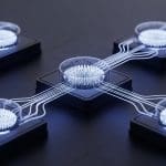 Quantum Error Detection Achieves 99.3% Leakage Conversion with Biased-Erasure Cavity Qubit