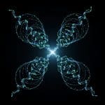 Watching Quantum Systems Alters Them, Creating New Particles and Entanglement