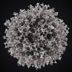 Simple Maths Unlocks Secrets of Glass, Offering Clearer Material Design Rules