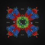 Quantum ‘spin Liquid’ Shows Unexpected Behaviour Defying Current Simulations