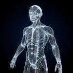 Sal Achieves Improved Classification across 10 Benchmarks with Novel Learning