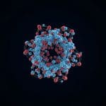 Hmrmamba Achieves Robust 3D Human Mesh Recovery with Geometry-Aware Lifting Modules0