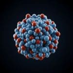 High-Fidelity Superpositions Advance Bose-Einstein Condensate Quantum Computation Techniques