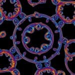 Skyrmion Textures Unlock Hall States Without Magnets