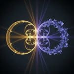 Classical and Quantum Theories Share a Common Structure