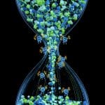 Reinforcement Learning Achieves Time-Constrained LLM Translation with Sand-Glass Benchmark