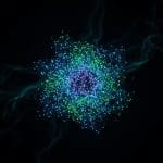 AI Health Models Leak Patient Data Despite Privacy Safeguards, Research Reveals