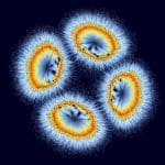 Collective Modes at T=0 in D-Wave Superconductors Reveal Enhanced Decay Rates