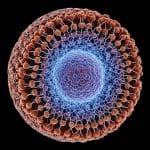 Neutron Star Cores Shift from Hadrons to Quarks