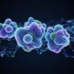 Prompt-Agnostic Evolution Achieves 3% Performance Gains Via Stable Visual Prompt Tuning