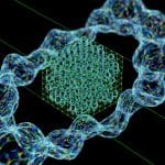 Fibre Optic Source Emits Paired Light at Two Wavelengths