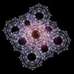 Hexformer Achieves Enhanced Image Classification with Novel Exponential Map Aggregation