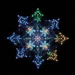 Quantum Processor Reveals Rényi-2 Entanglement and Symmetries in Random States