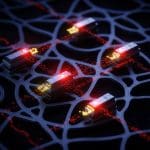 Lightweight Probes Achieve Near-Instantaneous Hallucination Risk Estimation in LLMs