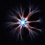 NLP Models Demonstrate Single-Nodal Symmetry Breaking during Pre-Training and Fine-Tuning