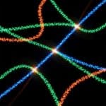 Magnetism’s Secrets Unlocked as CoNb₂O₆ Spectroscopy Probes Fractionalized Spinons