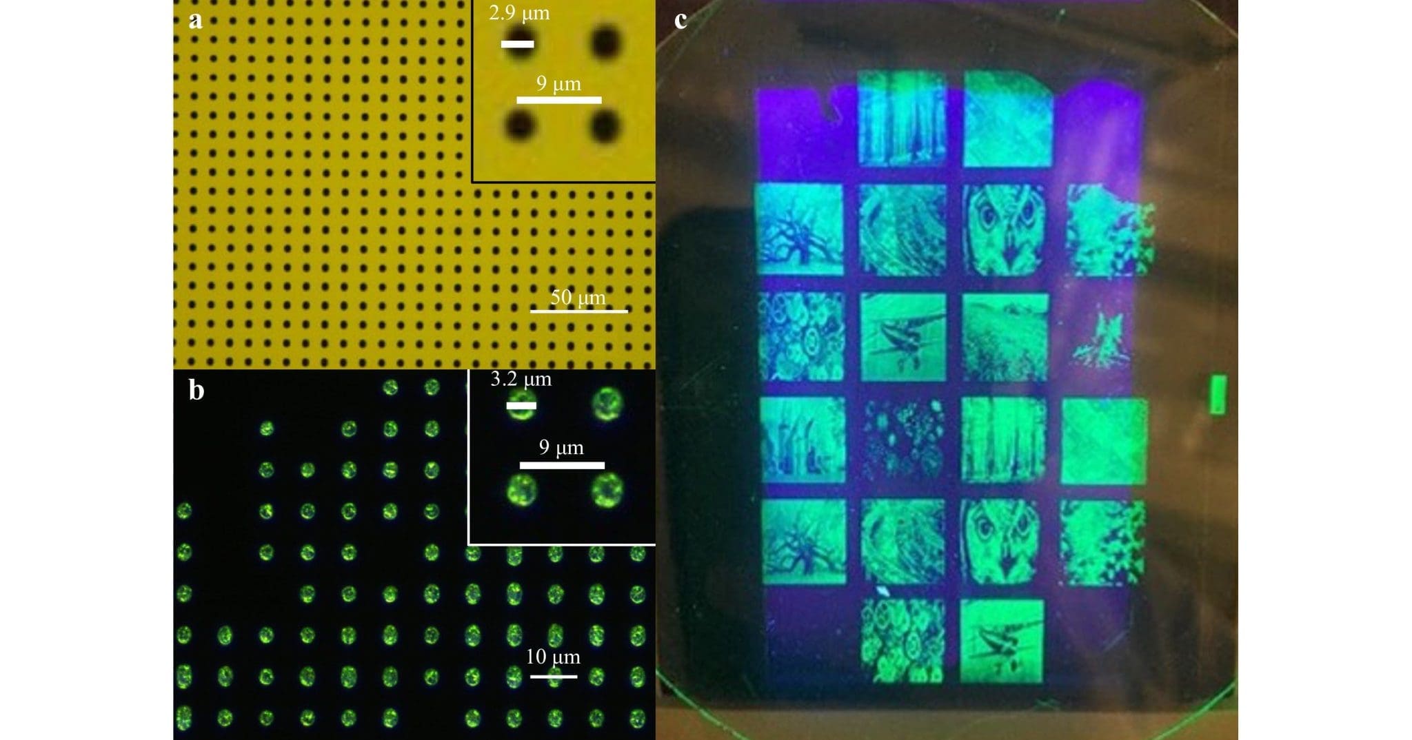 High-Resolution Dry Lift-Off Patterning of Quantum Dots Using Parylene for Optoelectronic Applications
