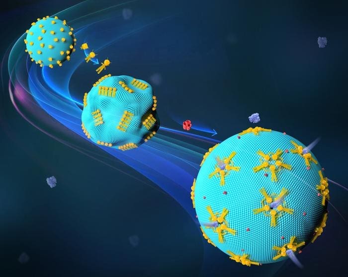 Stuttgart scientists create DNA nanorobots for cell therapy