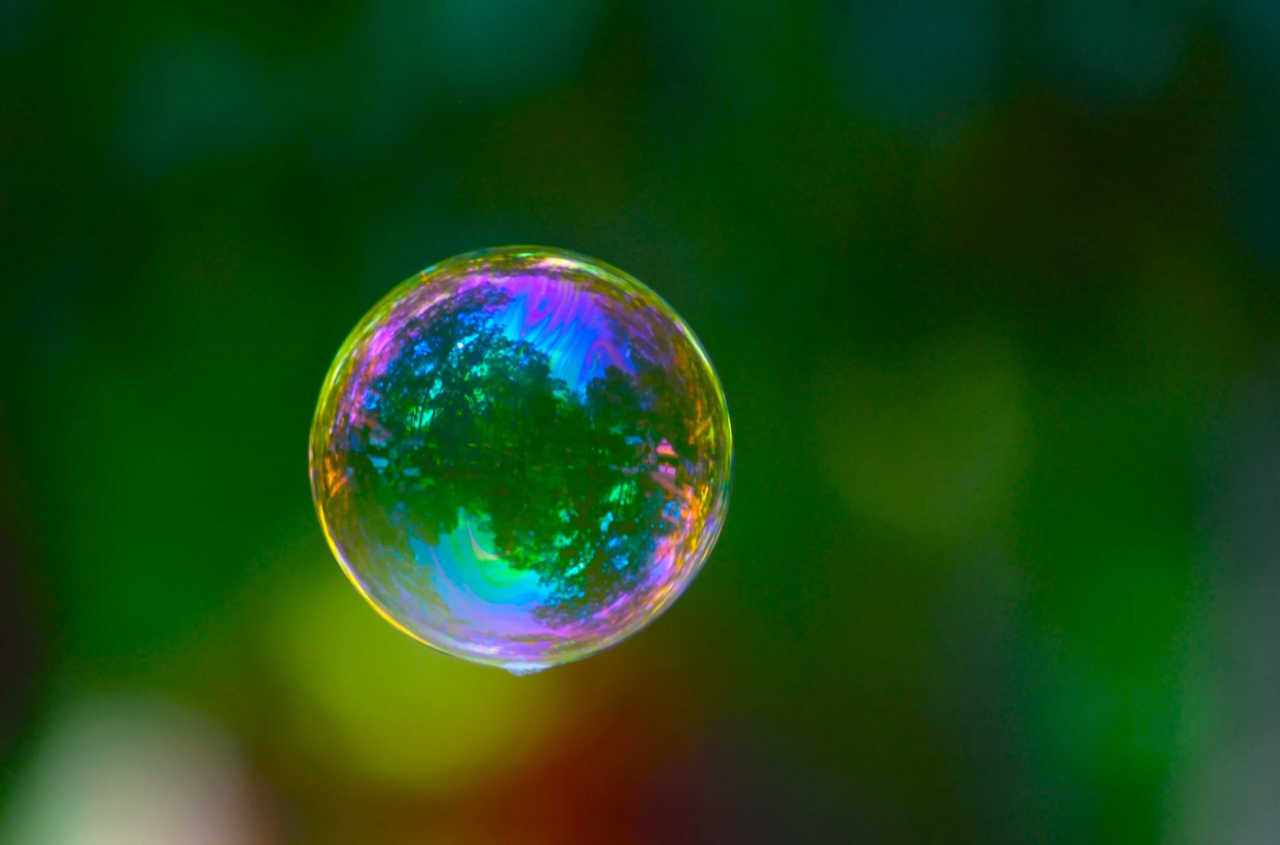 As tech booms, are we in a Quantum Bubble?