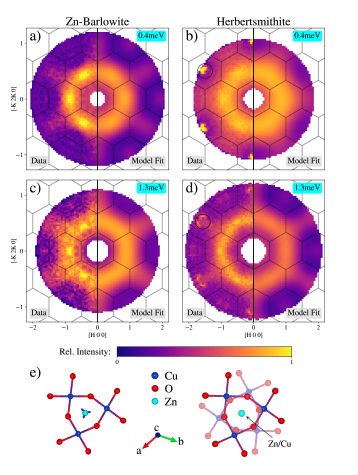 Spin Liquid Behavior in Zn-Barlowite Confirmed via Neutron Scattering Measurements