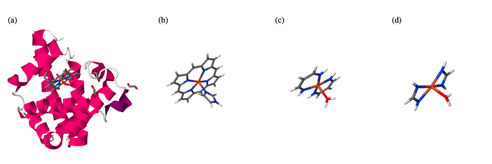 VQE Algorithm for Spin-State Energetics in Protein Models: Insights from Quantum Computing