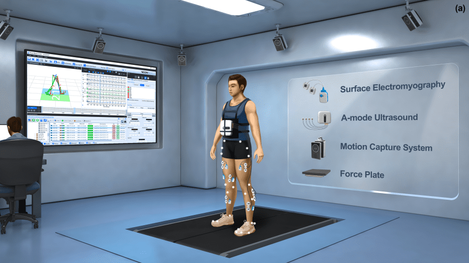 K2MUSE Dataset Revolutionizes Lower Limb Rehabilitation with Comprehensive Multimodal Data