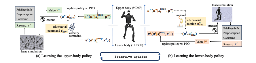 Achieving Human-like Whole-Body Coordination in Humanoid Robots Using Adversarial Locomotion and Motion Imitation