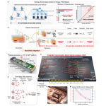Integrated Optical Signal Processor Pioneers Next-Generation AI Infrastructure with Ultra-Low Latency and Energy Efficiency.