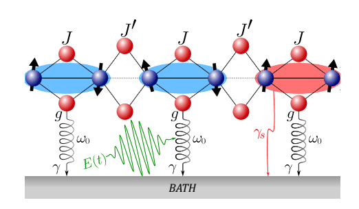 Magnetophononics Enables Ultrafast Control of Spin-Phonon Coupling in Quantum Materials