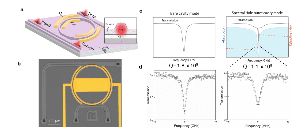 High-Q Nanophotonic Resonators Achieve Ultra-High Quality Factors via Spectral Hole Burning in Erbium-Doped Lithium Niobate