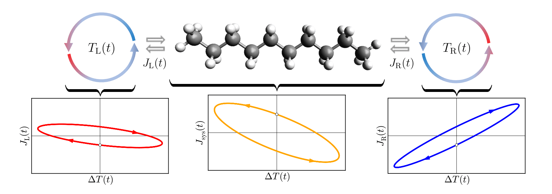 Molecular Junctions Exhibit Heat Transport Hysteresis under Time-Periodic Driving Forces