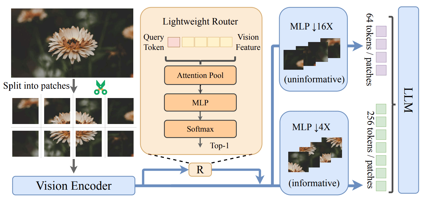 Vico Training Enables Dynamic High-Resolution Image Representation with Variable Vision Tokens, Minimizing KL Divergence by 50%