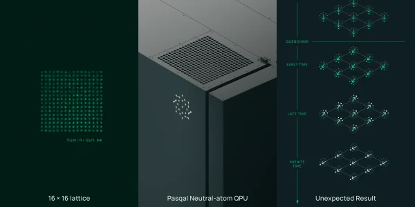 A 256-qubit QPU shows a quantum magnet relaxing in unexpected ways