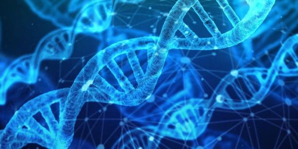 AI Predicts DNA Binding With Hypercomplexity, NC State Finds