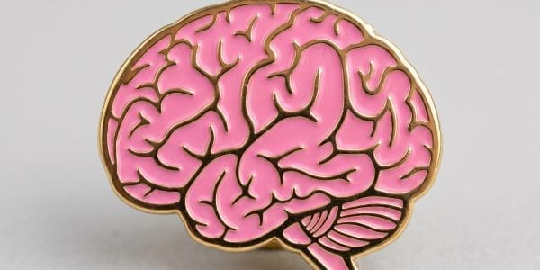 UMD Leads $7M MURI to Study Brain’s Hidden Astrocytes