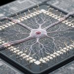 Tessara Therapeutics Leads Consortium to Develop Quantum Brain-on-Chip Platform