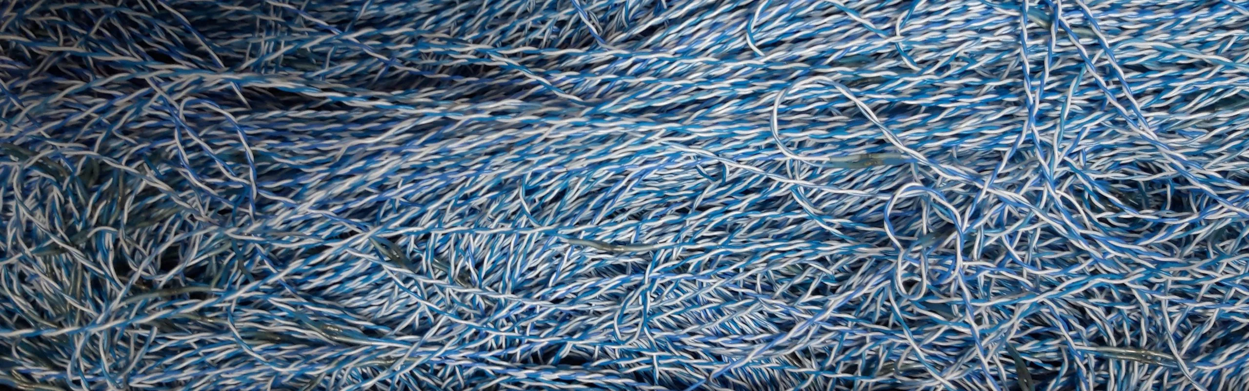 Will the Quantum Internet be the next big thing?