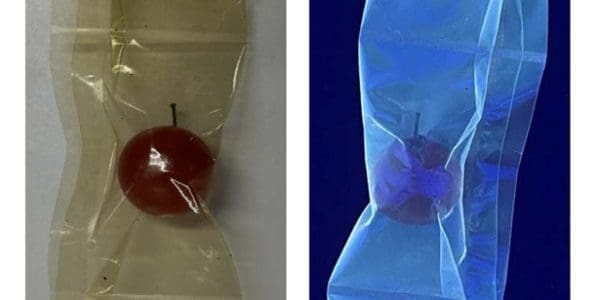 Carbon Quantum Dots From Peel Cut Food Loss by 40–50% From Kyushu University